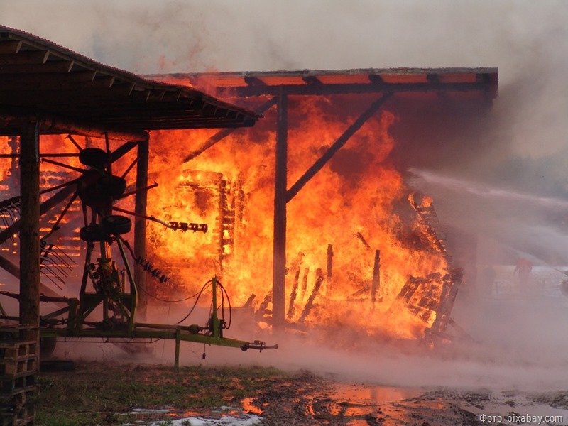 В трёх пожарах в Калининградской области обошлось без пострадавших