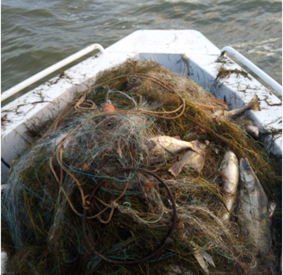 В Мамоново задержан матёрый рыбный браконьер