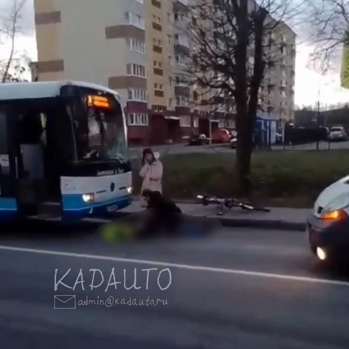 В Калининграде автобус сбил велосипедиста (фото)