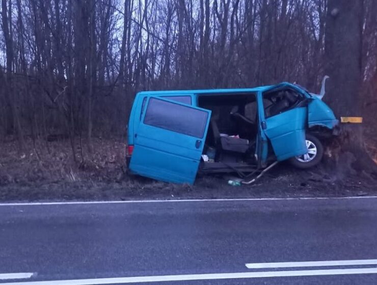 20-летний водитель «Фольксвагена» выжил после столкновения с придорожным деревом