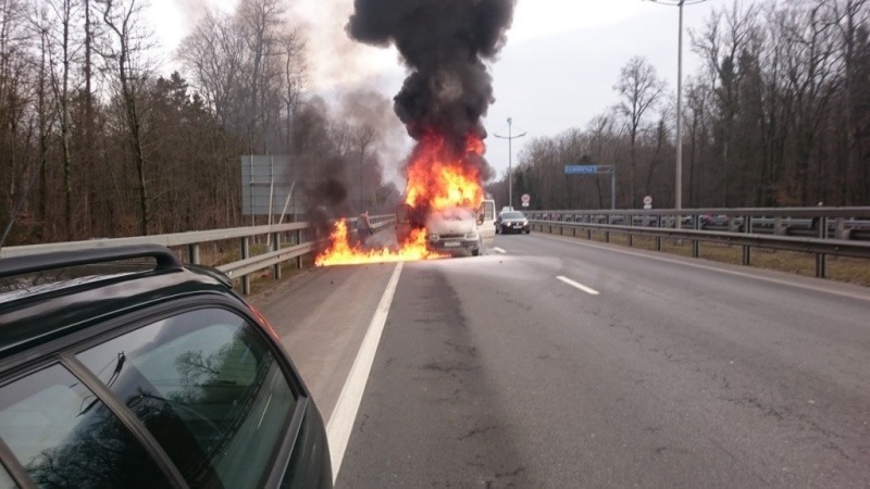 В Шувалово огонь уничтожил автомобиль “Фольксваген Пассат”