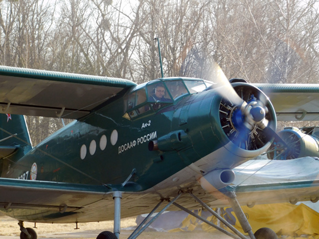 В Калининградской области в небо подняли самолёт ДОСААФ