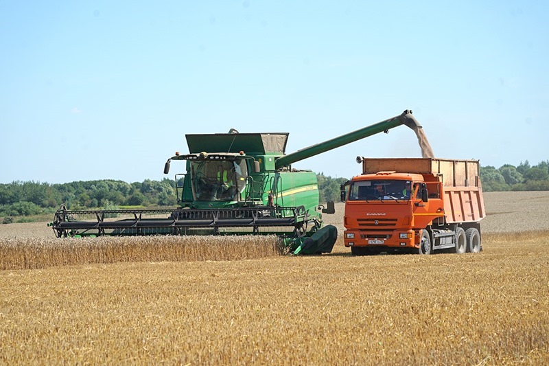 The Times: Россия берет под контроль мировой рынок пшеницы