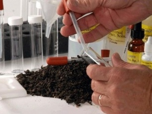 Цинк, мышьяк и свинец находят в обследуемых образцах почвы в Калининградской области
