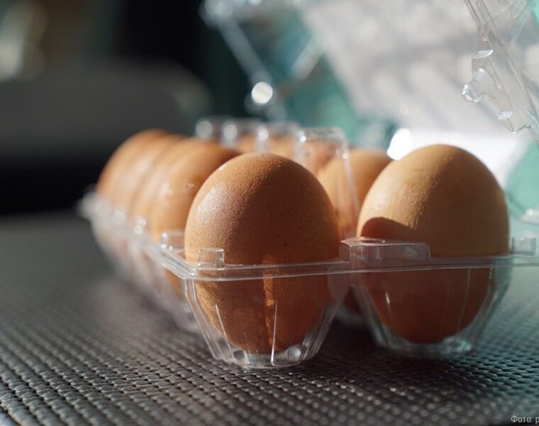 В Калининградской области на 8,6% сократилось производство яиц