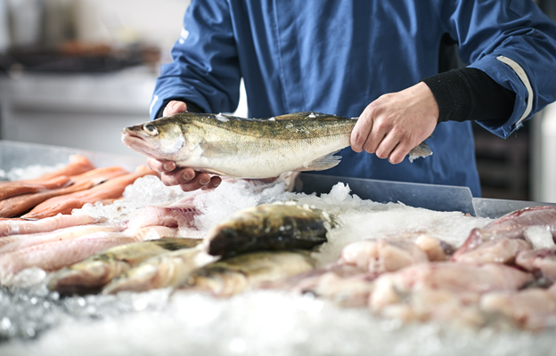 Роспотребнадзор в Калининграде отчитался о проверке качества и безопасности рыбы и морепродуктов