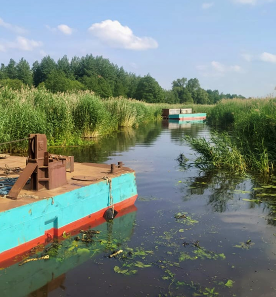 В Калининградской области очищают речку Каменку