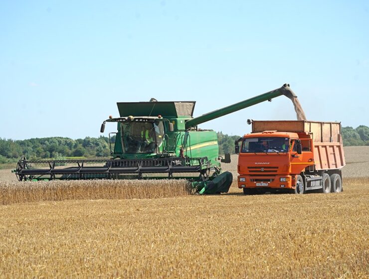 Калининградская область вошла в число лидеров по количеству центнеров зерна, собранных с 1 гектара посевов