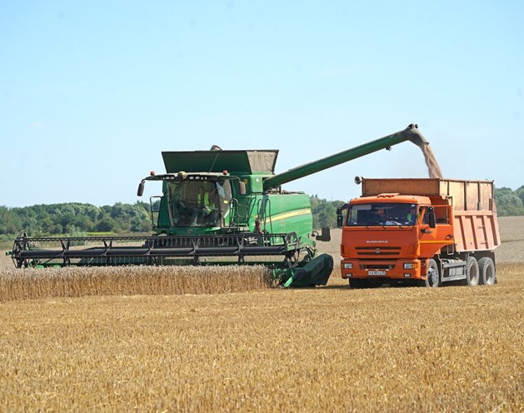Калининградская область вошла в число лидеров по количеству центнеров зерна, собранных с 1 гектара посевов