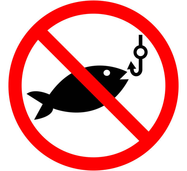 В восьми реках Калининградской области запрещен вылов рыбы