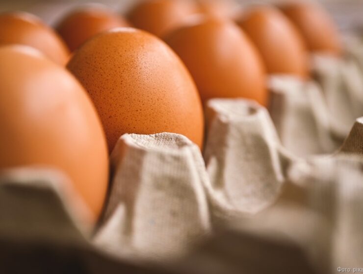 В Калининградской области начали резко дорожать куриные яйца