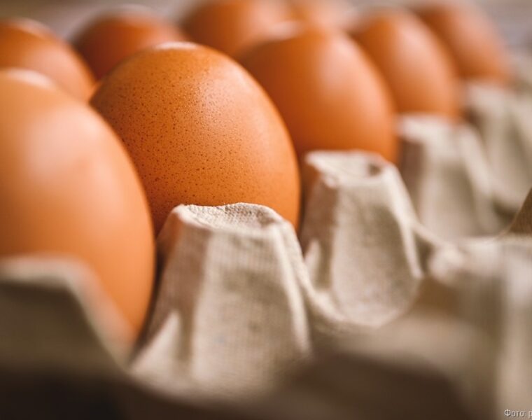 В Калининградской области начали резко дорожать куриные яйца