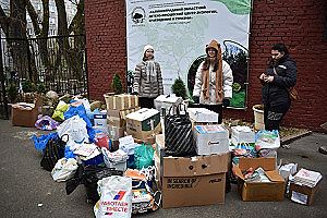 В Калининграде провели областной экологический фестиваль