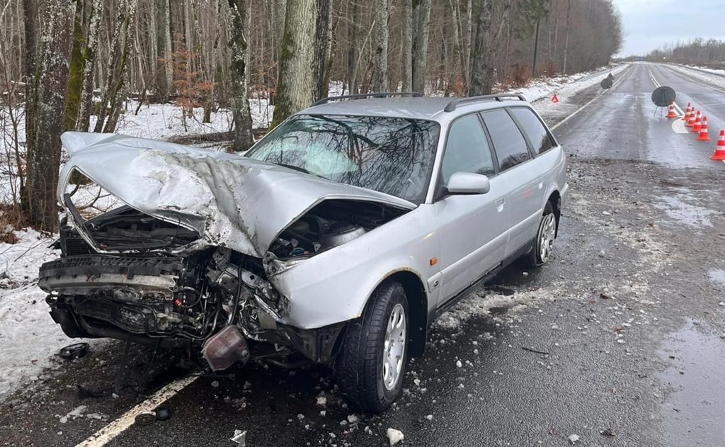 Калининградка на «Ауди А6» вылетела в кювет, а затем влетела в дерево