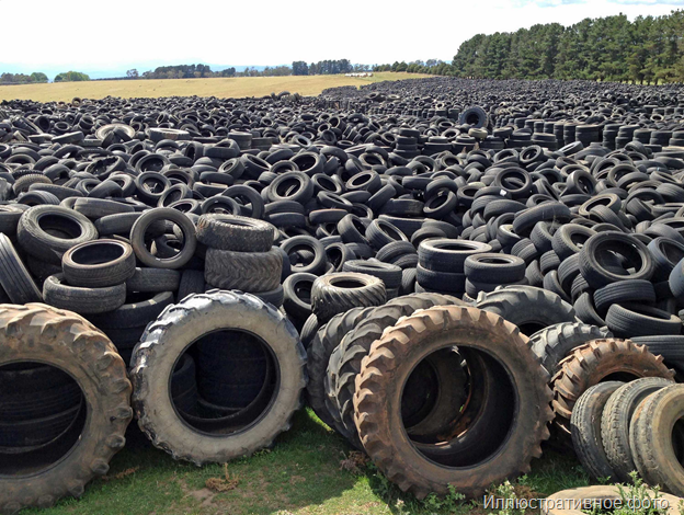 Россельхознадзор потребовал ликвидировать свалку отработанных тракторных шин под Калининградом