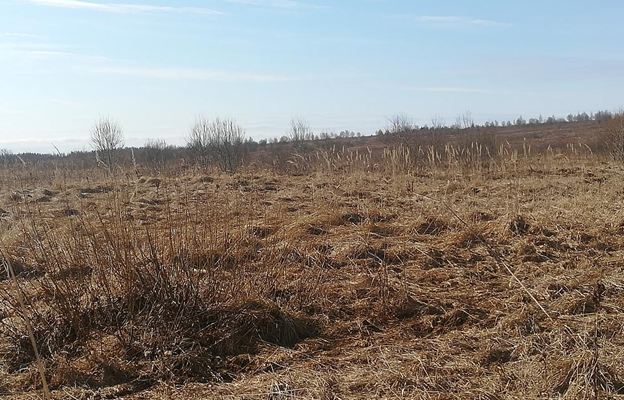 В Калининградской области за месяц выявлено 44 нарушения требований земельного законодательства