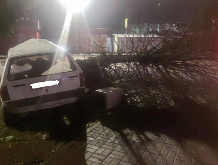 Пьяный молодой водитель перепутал дерево с дорогой