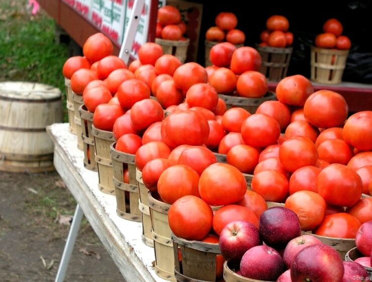 В Калининградской области больше всего подорожали помидоры, виноград и репчатый лук В Калининградской области больше всего подорожали помидоры, виноград и репчатый лук