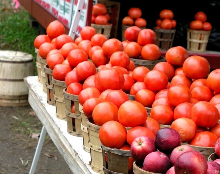 В Калининградской области больше всего подорожали помидоры, виноград и репчатый лук