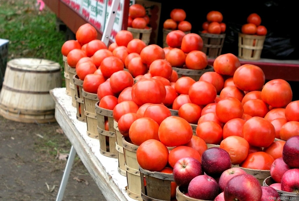 В Калининградской области больше всего подорожали помидоры, виноград и репчатый лук