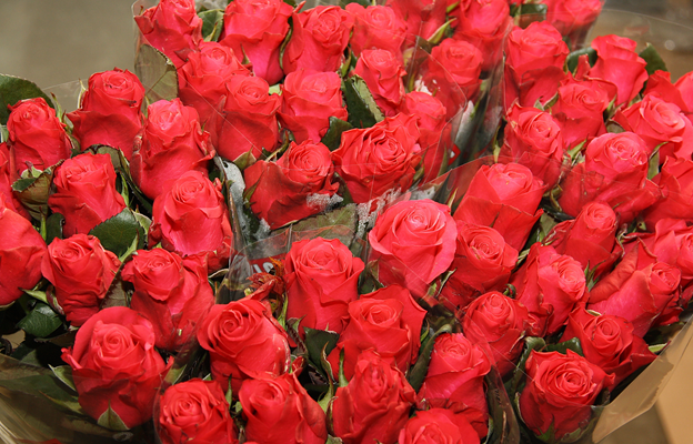 К праздникам в Калининградскую область импортировано 280 тонн цветов