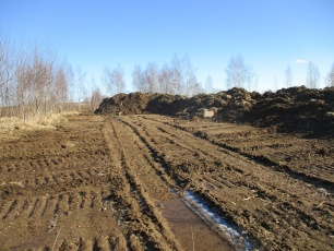 Под Калининградом выявлено нарушение земельного законодательства