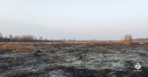 В Калининградской области действует особый противопожарный режим