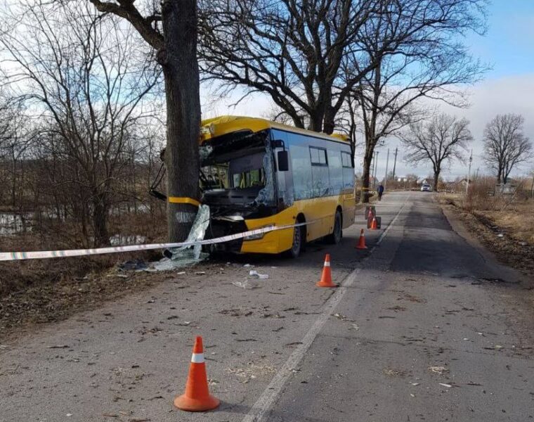 Пассажирский автобус врезался в дерево близ Голубево