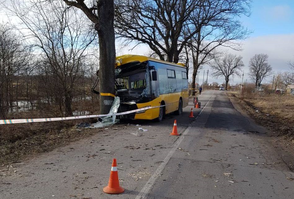 Пассажирский автобус врезался в дерево близ Голубево