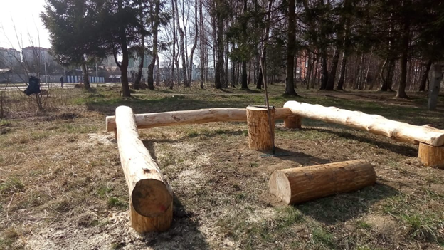 В Калининграде благоустроили городской лесок