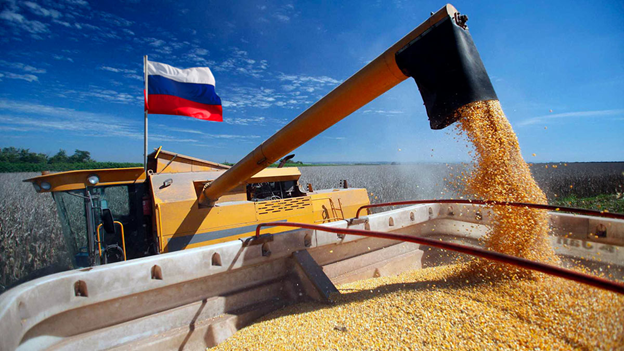 Калининградская область нарастила экспорт зерна