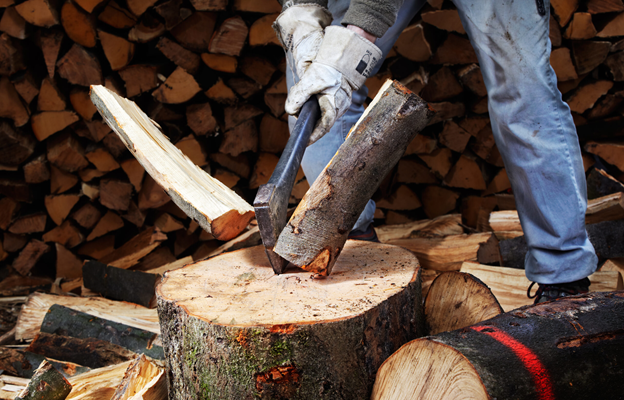 Минприроды сообщило о ситуации с заготовкой древесины для личных нужд