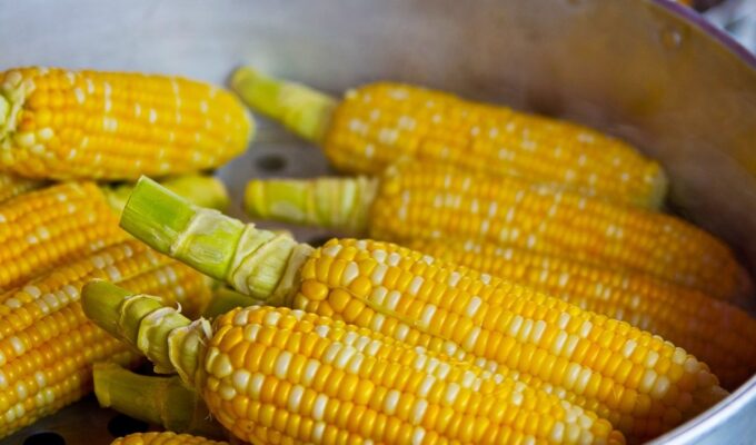 Пара калининградцев украла с поля 950 початков кукурузы