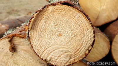 Жители Багратионовска украли оборудование для деревообработки и автопогрузчик