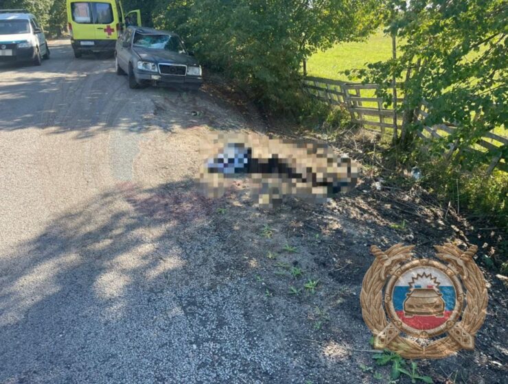 Иномарка сбила насмерть велосипедиста в районе посёлка Чайкино