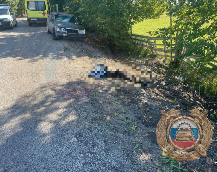 Иномарка сбила насмерть велосипедиста в районе посёлка Чайкино