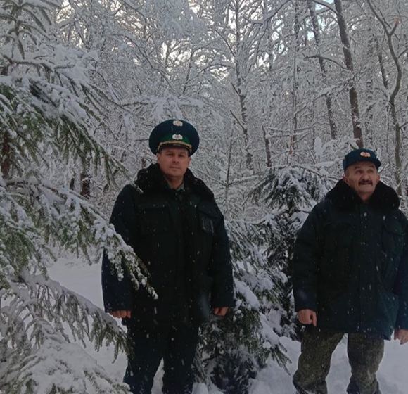 В Калининградской области усилена охрана хвойных деревьев