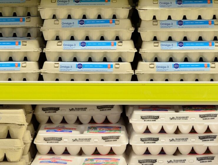 В России обнулят пошлины для импорта куриных яиц