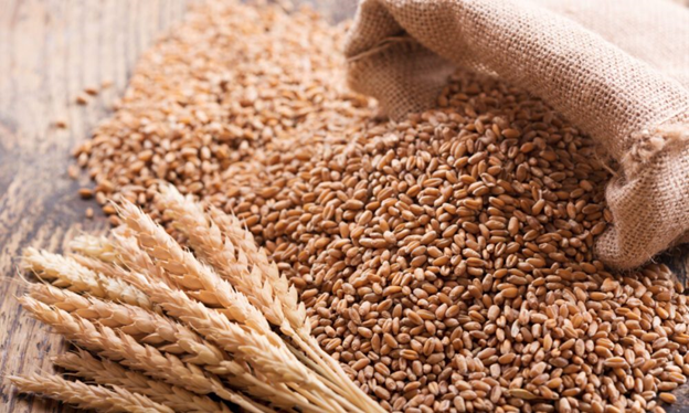 В регионе выявлены нарушения при оформлении документов на зерно