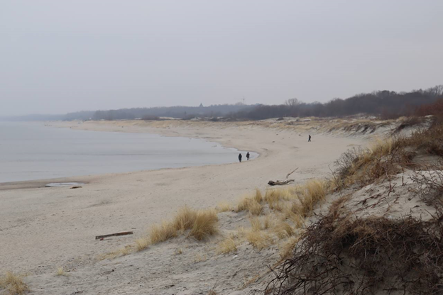 На пляжах в Балтийске планируют установить видеонаблюдение