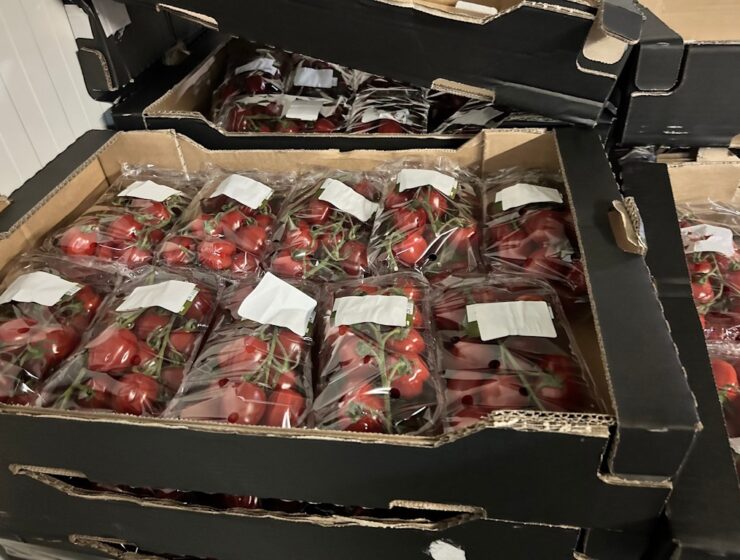 На границе с Литвой таможенники изъяли полтонны санкционки - томаты и перец из Нидерландов и Испании