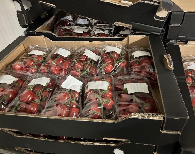 На границе с Литвой таможенники изъяли полтонны санкционки - томаты и перец из Нидерландов и Испании