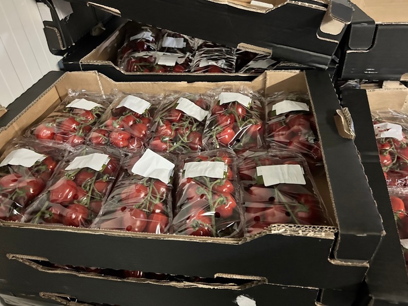 На границе с Литвой таможенники изъяли полтонны санкционки – томаты и перец из Нидерландов и Испании