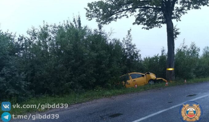 Жёлтый “Рено” оказался в кювете на ночной дороге в Калининградской области