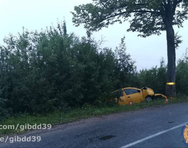 Жёлтый “Рено” оказался в кювете на ночной дороге в Калининградской области
