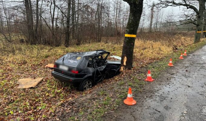 20-летний калининградец на «Фольксвагене Гольфе» врезался в дерево и погубил жизнь 16-летнего пассажира