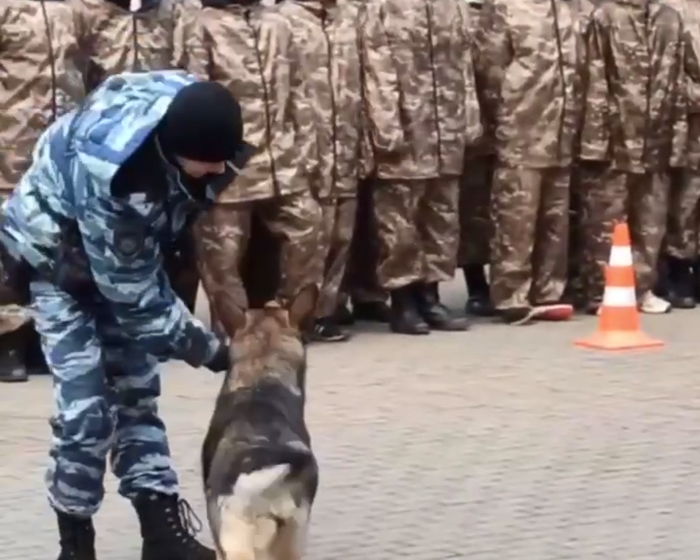 Сотрудники полиции познакомили подростков с работой кинологов Сотрудники полиции познакомили подростков с работой кинологов