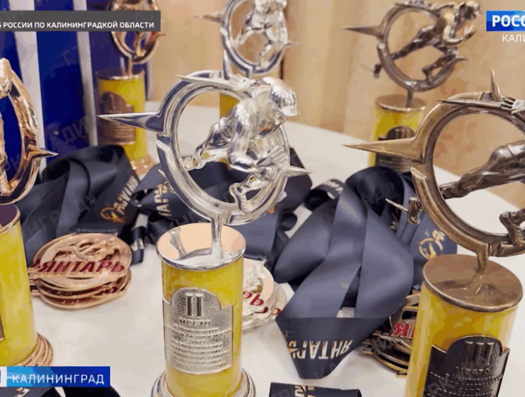 В Калининграде прошли соревнования памяти сотрудника УФСБ Михаила Баранова