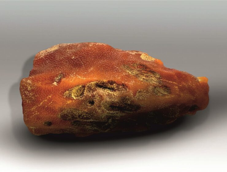 В Калининградской области добыт первый в сезоне янтарный самородок весом более килограмма