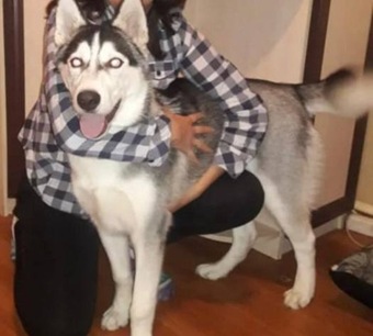 photo_2025-06-03_16-02-25